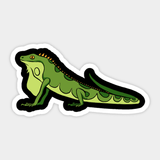 Lizard Iguana Komodo Dragon Sticker